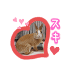 うさぎの若（個別スタンプ：8）