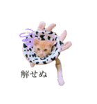 よしお_（個別スタンプ：11）