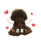 jin☆mouton（個別スタンプ：1）