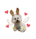 jin☆mouton（個別スタンプ：2）