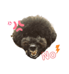 jin☆mouton（個別スタンプ：3）