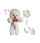 jin☆mouton（個別スタンプ：4）