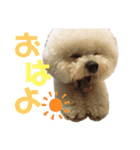 jin☆mouton（個別スタンプ：5）