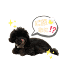 jin☆mouton（個別スタンプ：7）