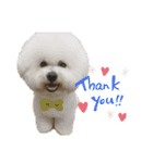 jin☆mouton（個別スタンプ：9）