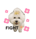 jin☆mouton（個別スタンプ：10）