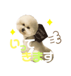 jin☆mouton（個別スタンプ：12）