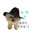 jin☆mouton（個別スタンプ：13）