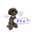 jin☆mouton（個別スタンプ：14）