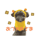 jin☆mouton（個別スタンプ：16）