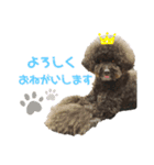 jin☆mouton（個別スタンプ：17）