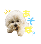jin☆mouton（個別スタンプ：18）