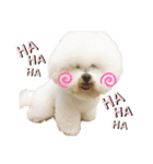 jin☆mouton（個別スタンプ：22）