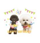 jin☆mouton（個別スタンプ：24）