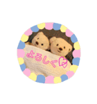 しっちゃんわくわくスタンプ（個別スタンプ：12）