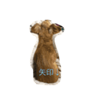 ginganeko（個別スタンプ：8）