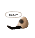 ねこのこてつスタンプ（個別スタンプ：4）