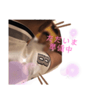 ちょうです！！（個別スタンプ：10）