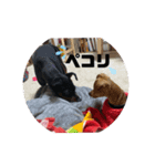 beatgoon4（個別スタンプ：2）
