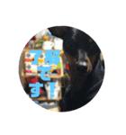 beatgoon4（個別スタンプ：8）
