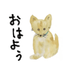 ぴたらのわんず drawn by Shiho（個別スタンプ：5）