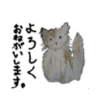 ぴたらのわんず drawn by Shiho（個別スタンプ：8）