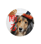 璃空とぽんずと愉快な仲間たち1（個別スタンプ：8）