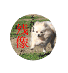 璃空とぽんずと愉快な仲間たち1（個別スタンプ：13）