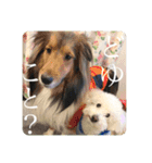 璃空とぽんずと愉快な仲間たち1（個別スタンプ：18）