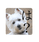 璃空とぽんずと愉快な仲間たち1（個別スタンプ：21）