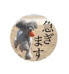 璃空とぽんずと愉快な仲間たち1（個別スタンプ：22）