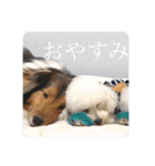 璃空とぽんずと愉快な仲間たち1（個別スタンプ：26）
