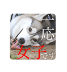 璃空とぽんずと愉快な仲間たち1（個別スタンプ：31）