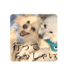 璃空とぽんずと愉快な仲間たち1（個別スタンプ：34）