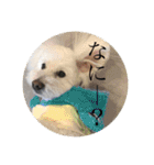 璃空とぽんずと愉快な仲間たち1（個別スタンプ：36）