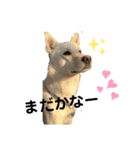 でっかいけど甘えんぼレン（個別スタンプ：3）
