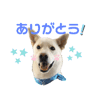 でっかいけど甘えんぼレン（個別スタンプ：9）
