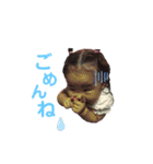 兄妹ちょっと父（個別スタンプ：10）