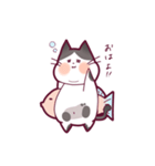 うちの猫たち。あずき（個別スタンプ：1）