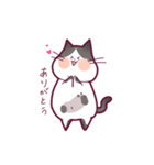 うちの猫たち。あずき（個別スタンプ：3）