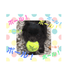 福チャン語録☆（個別スタンプ：2）