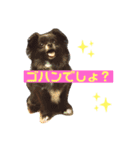 福チャン語録☆（個別スタンプ：3）