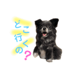 福チャン語録☆（個別スタンプ：4）