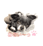 福チャン語録☆（個別スタンプ：5）