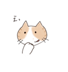 ゆるかわ猫のれもんちゃん（個別スタンプ：6）
