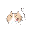 ゆるかわ猫のれもんちゃん（個別スタンプ：8）