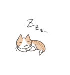 ゆるかわ猫のれもんちゃん（個別スタンプ：9）