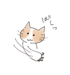 ゆるかわ猫のれもんちゃん（個別スタンプ：12）