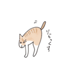 ゆるかわ猫のれもんちゃん（個別スタンプ：16）