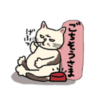 不機嫌なユルネコcat（個別スタンプ：5）